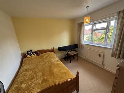 Picture 14